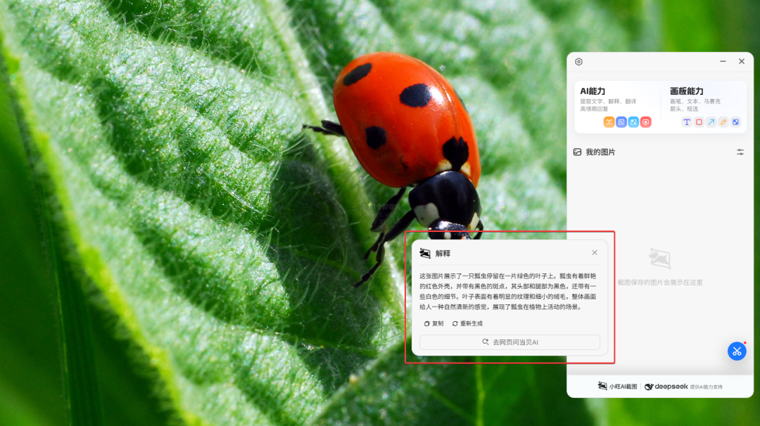 号称首款接入 DeepSeek 的 AI 截图神器：小旺截图-3